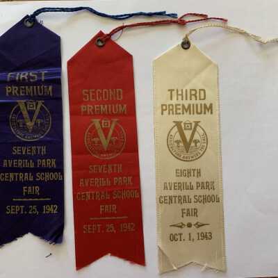 APCS School Fair First, Second and Third Place Ribbons: These are SLHS owned items stored in Page Protector #16 of the SLHS Miscellaneous Ephemera and Artifacts Binder that is stored in the 2nd Drawer of SLHS File Cabinet 1 on the second floor of Town Hall.