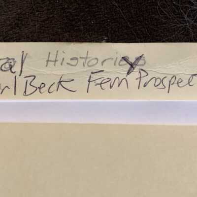 Folder in which the Beck history is stored.