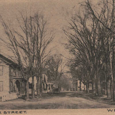 View on South Street, West Sand Lake, NY: View on South Street, West Sand Lake, NY, postcard.  G. H. Lewis