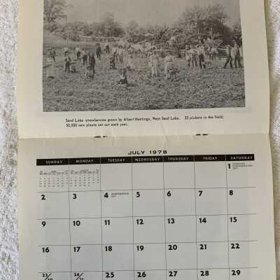 SLHS 1978 Calendar - July: Albert Hastings strawberry pickers