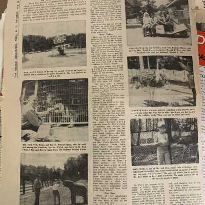 Page Protector 10 - What's New at the Fox Zoo?: July 10, 1971, Troy Record newspaper article regarding a zoo filled with over 250 exotic animals that operated just outside West Sand Lake from approximately 1957 to 1975.