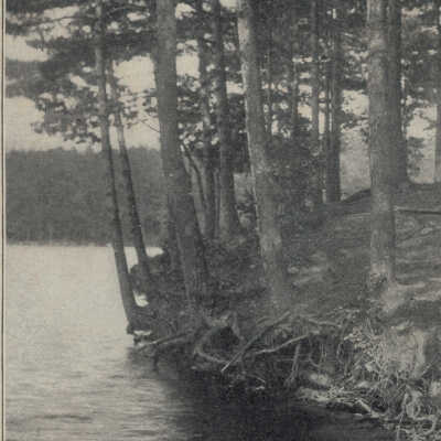 View on the Lake #1: View on the Lake, Crystal Lake, Averill Park, NY, postcard.   Specimen 1 of 2.