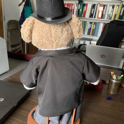 Presidential Teddy - Front - See the SLHS Auction Poster: Donated to the Town of Sand Lake Historian by Mike and Nancy Perry of Averill Park, NY.  Currently located in the Town Historian's Office in Town Hall.