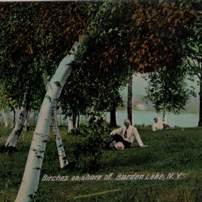 Birches on Shore of Burden Lake, NY: Birches on Shore of Burden Lake, NY, postcard.