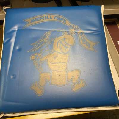 Averill Park School Seat Cushion: Averill Park School Seat Cushion.  SLHS owned item currently stored in SLHS File Cabinet 1, Drawer 2.