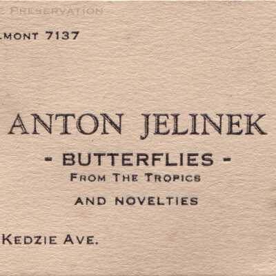 Anton Jelinek Butterfly Imports Business Card