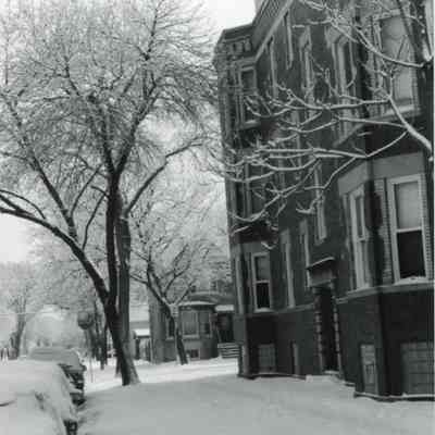 Snowy Schubert St