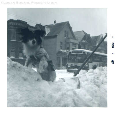Logan family dog on top of snow mound with shovel of big snow 1967