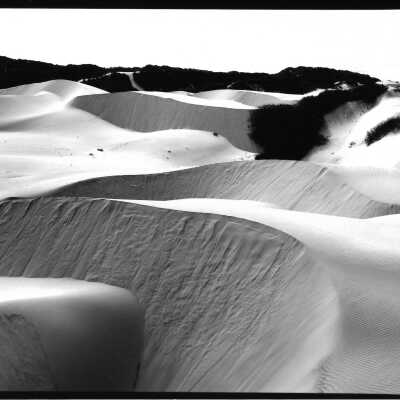 Black and White Dune Landscape, Photograph by Robert Werling - Undated 8" x 10" black and white photograph print