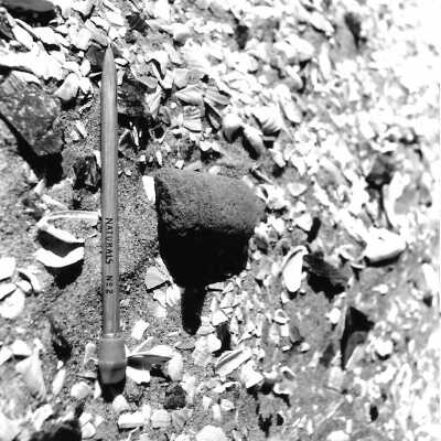 Mobil Coastal Preserve, Guadalupe- Nipomo Dunes Preserve, Febuary 1995 - 3.5" x 5" black and white photograph