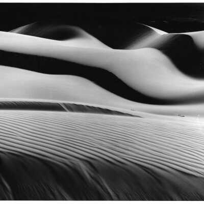 Black and White Dune Landscape, Photograph by Robert Werling - Undated 8" x 10" black and white photograph print