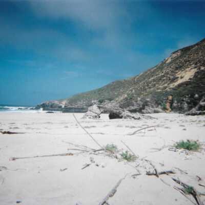 Dunes landscspe with ocean, 8/29/2005 - 5" x 7" color photograph