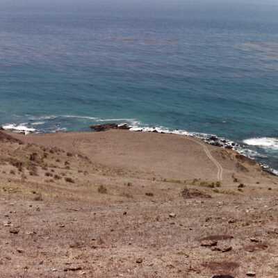 Landscape and Plants of Coastline, The Nature Conservancy - Undated 4" x 6" color photograph