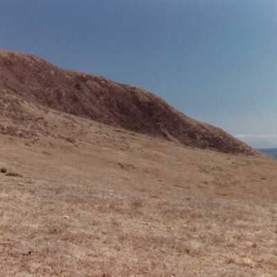 Landscape and Plants of Coastline, The Nature Conservancy - Undated 4" x 6" color photograph