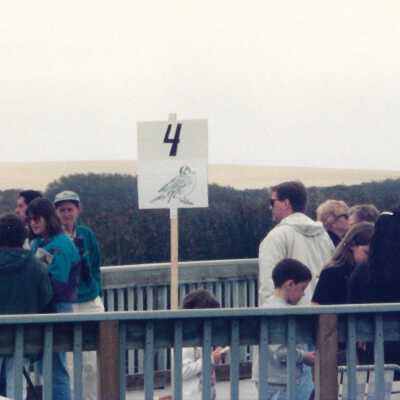 Educational event at Oso Flaco Lake Education Center - Undated 4" x 11.5" color photograph
