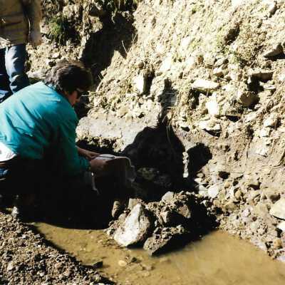 Pecho Coast Trail, Fossil hunting, The Nature Conservancy, 2/1/1993 - 3.5" x 5" color photograph