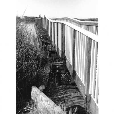 Oso Flaco Lake Footbridge, Photo taken by Dana Smillie, 3/26/1994 - 8" x 10" black and white photograph print