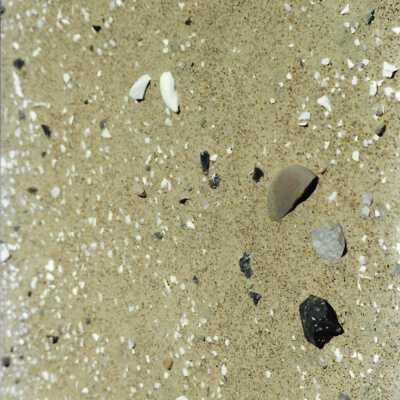 Mobil Coastal Preserve, Guadalupe- Nipomo Dunes Preserve, Febuary 1995 - 3.5" x 5" black and white photograph