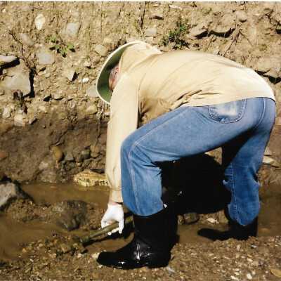 Pecho Coast Trail, Fossil hunting, The Nature Conservancy, 2/1/1993 - 3.5" x 5" color photograph
