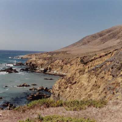 Landscape and Plants of Coastline, The Nature Conservancy - Undated 4" x 6" color photograph