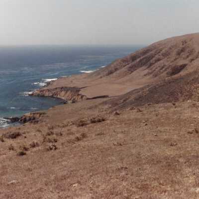 Landscape and Plants of Coastline, The Nature Conservancy - Undated 4" x 6" color photograph