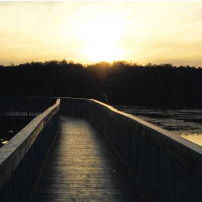Oso Flaco Lake Bridge, Photo taken by David Levesque, 1996 - 4" x 11.5" color photograph