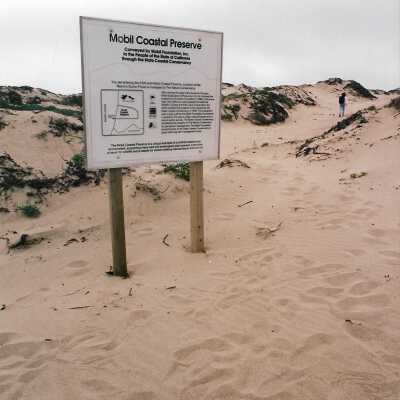 Mobil Coastal Preserve, Guadalupe- Nipomo Dunes Preserve, Febuary 1995 - 4" x 6" color photograph