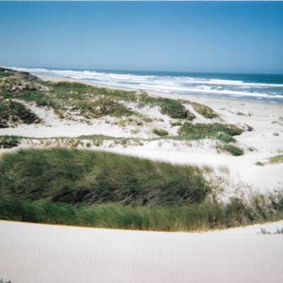 Dunes landscspe with ocean, 8/29/2005 - 5" x 7" color photograph