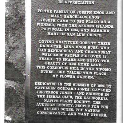The completed monumnet on Coreopsis Hill for Joseph Enos and Mary Barcellos Enos for allowing people to lead hikers on their propertyto see the beautiful dune flowers, monument idea by Kathleen Goddard Jones, designed and constructed by Jack Beigle, Al Spierling, Norm Hammond, and Hal Shartz with Kathleen Goddard Jones supervising, 1994 - 4" x 6" color photograph