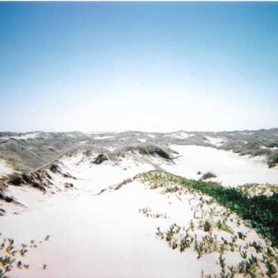 Dunes landscspe with ocean, 8/29/2005 - 5" x 7" color photograph