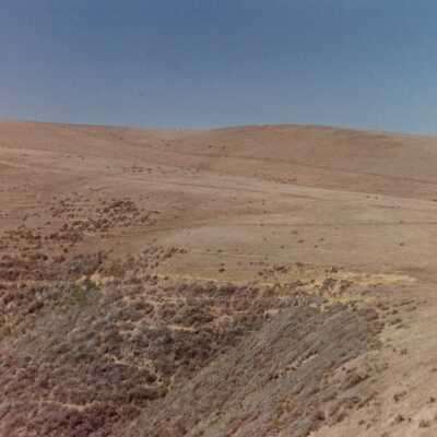 Landscape and Plants of Coastline, The Nature Conservancy - Undated 4" x 6" color photograph