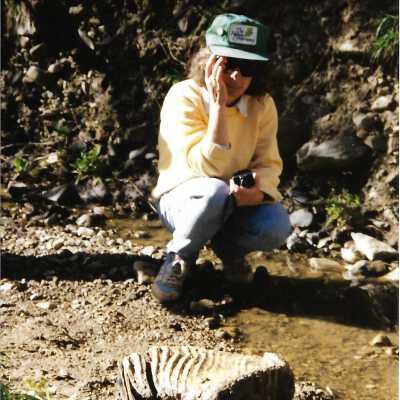 Pecho Coast Trail, Fossil hunting, The Nature Conservancy, 2/1/1993 - 3.5" x 5" color photograph