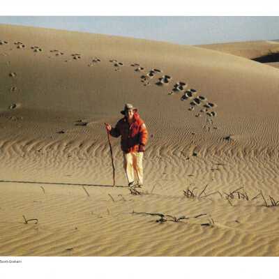 Kathleen Goddard Jones walking in the Dunes, photo taken by Liz Scott-Graham, 20 duplicate prints in folder, 1987 - 8.5" x 12" color photograph print