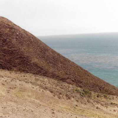 Landscape and Plants of Coastline, The Nature Conservancy - Undated 4" x 6" color photograph