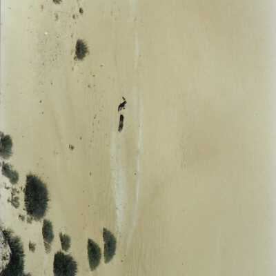 Mobil Coastal Preserve, Guadalupe- Nipomo Dunes Preserve, Febuary 1995 - 3.5" x 5"
