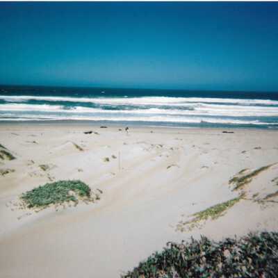 Dunes landscspe with ocean, 8/29/2005 - 5" x 7" color photograph