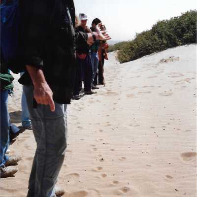 Educational Hike at Oso Flaco with Kathleen Goddard Jones, in photo album - Undated 3.5" x 5" color photograph