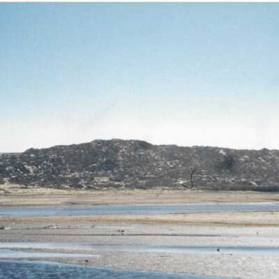 Hikers in Guadalupe- Nipomo Dunes lead by Kathleen Goddard Jones - Undated 4" x 11.5" color photograph