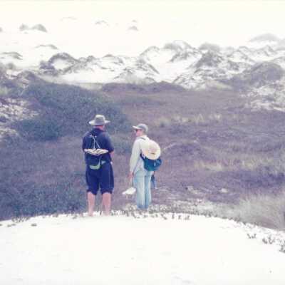 Hikers in Dunes, Note on folder: "removed from display in storage in August 2016" - Undated 4" x 11.5" color photograph