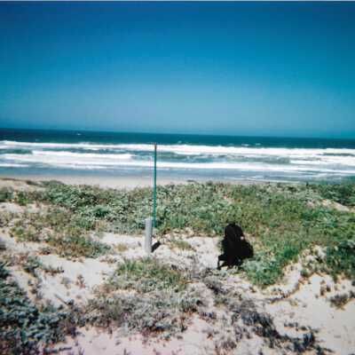 Dunes landscspe with ocean, 8/29/2005 - 5" x 7" color photograph