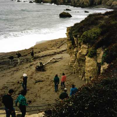 Pecho Coast Trail, The Nature Conservancy Program, 1996 - 4" x 6" color photograph
