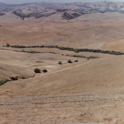 Landscape and Plants of Coastline, The Nature Conservancy - Undated 4" x 6" color photograph
