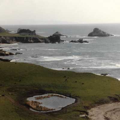 Coastal Landscape Photography, in photo album - Undated 3.5" x 5" color photograph