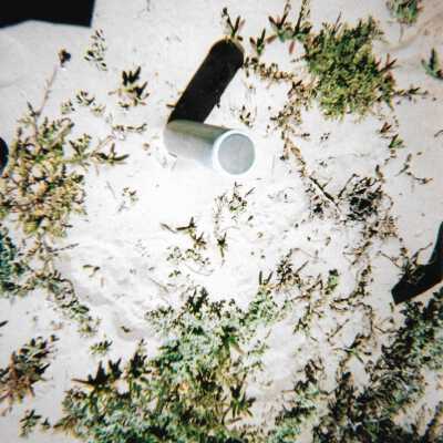 Surevy marker in Dunes, 8/29/2005 - 5" x 7" color photograph