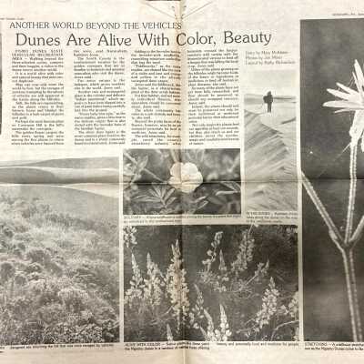 "Another World Beyond the Vehicles: Dunes Are Alive With Color, Beauty" - Five Cities Times-Press-Recorder article - June 7 - 1985