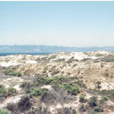 Hikers in Guadalupe- Nipomo Dunes lead by Kathleen Goddard Jones - Undated 4" x 11.5" color photograph