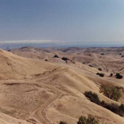 Landscape and Plants of Coastline, The Nature Conservancy - Undated 4" x 6" color photograph