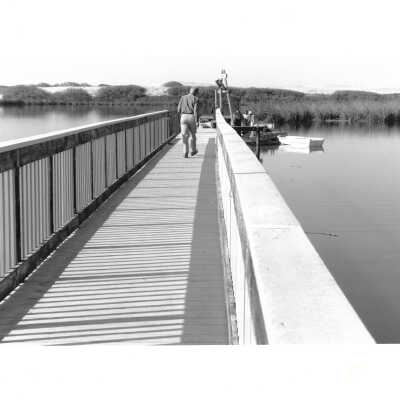 Oso Flaco Lake Footbridge, Photo taken by Dana Smillie, 3/26/1994 - 8" x 10" black and white photograph print