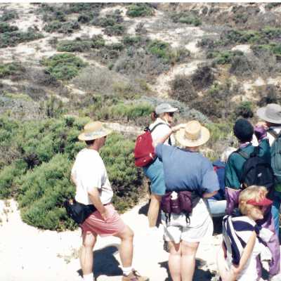 Hikers in Guadalupe- Nipomo Dunes lead by Kathleen Goddard Jones - Undated 4" x 11.5" color photograph