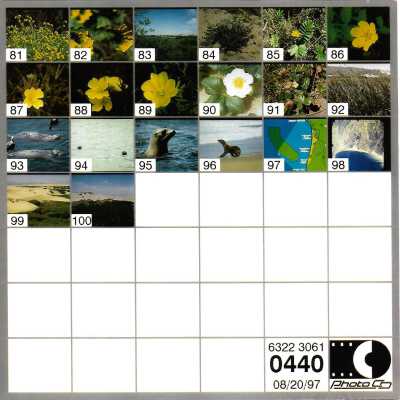 8/20/97 Image summery #81-100 - 4" x 4" color photograph